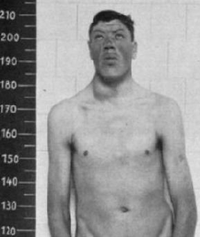 Адам Райнер