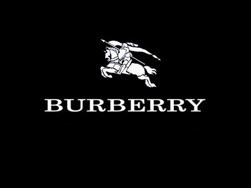 Burberry Sport