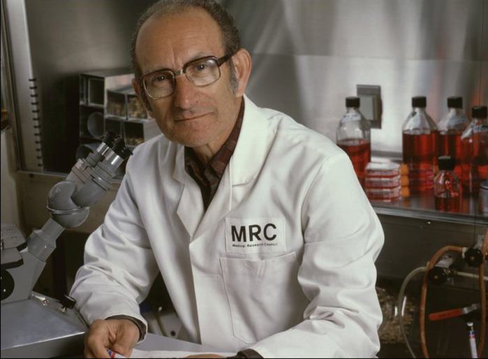 Сезар Мильштейн