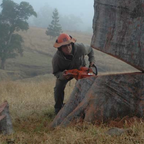 Крис Андерссон