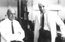 Дикинсон Ричардс