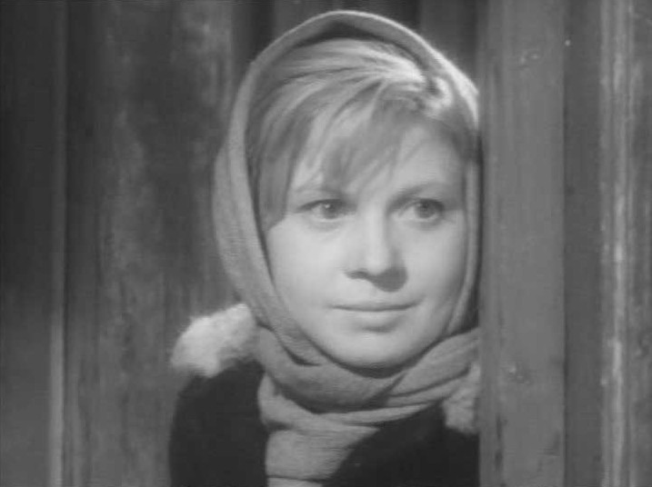 Елена Королева