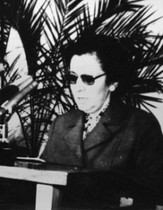 Фикирете Шеху