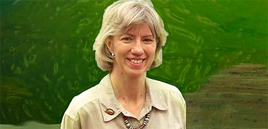 Гейл Нортон