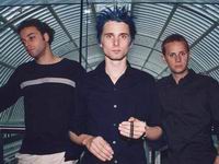 Muse