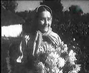 Нина Тамарова