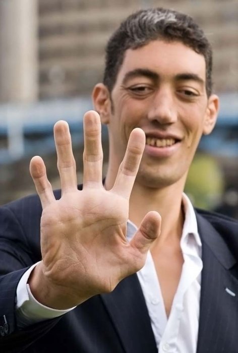 Султан Кесен