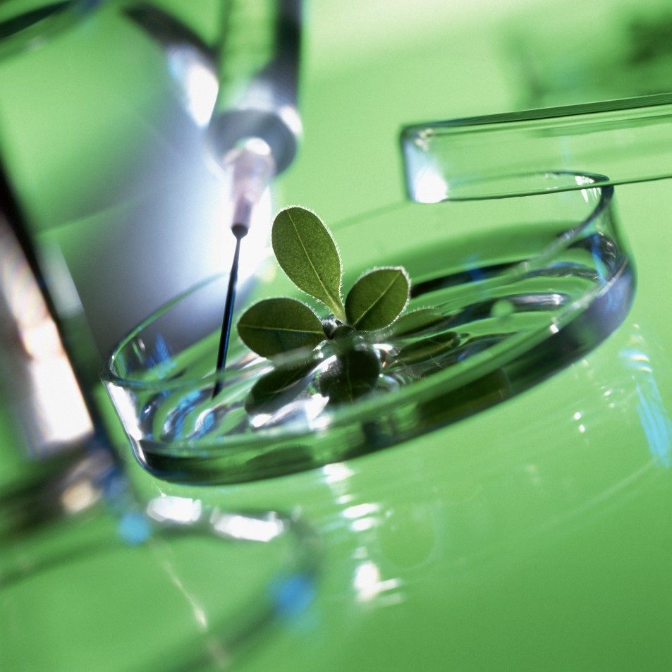 Татьяна Зинченко